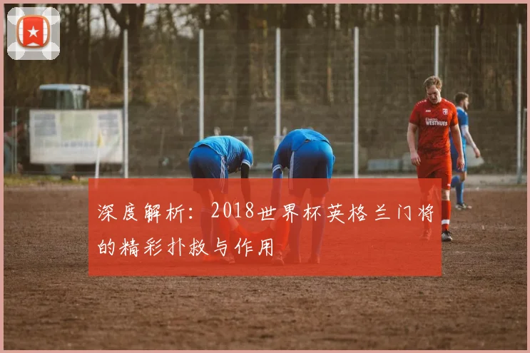 深度解析：2018世界杯英格兰门将的精彩扑救与作用