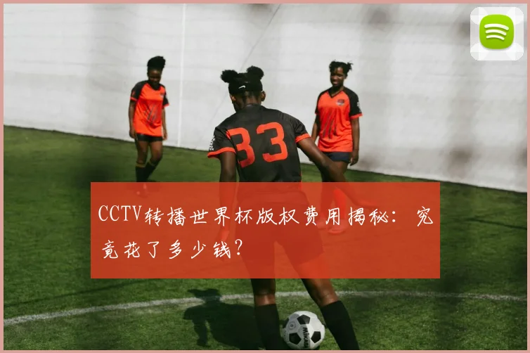 CCTV转播世界杯版权费用揭秘：究竟花了多少钱？