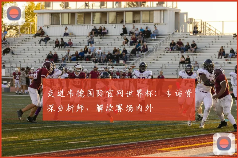 走进韦德国际官网世界杯：专访资深分析师，解读赛场内外
