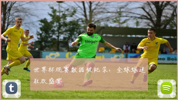 世界杯观赛数据破纪录，全球球迷狂欢盛宴