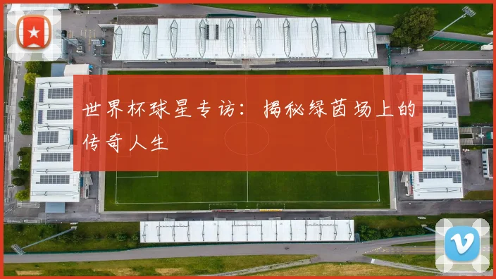 世界杯球星专访:揭秘绿茵场上的传奇人生
