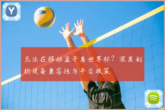 无法在移动盒子看世界杯？深度剖析设备兼容性与平台政策