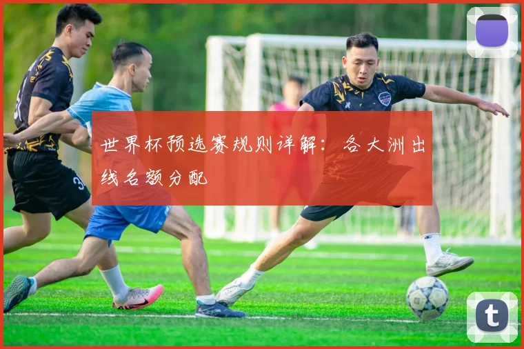世界杯预选赛规则详解:各大洲出线名额分配