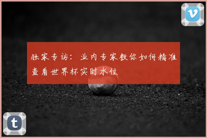 独家专访：业内专家教你如何精准查看世界杯实时水位