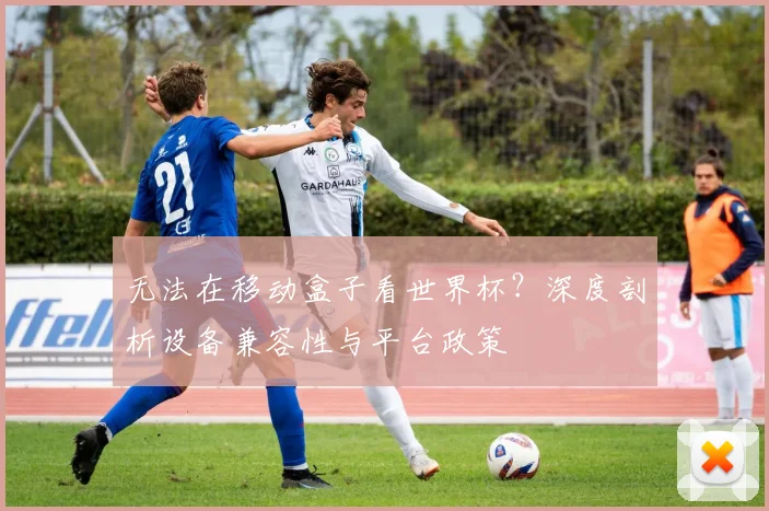 无法在移动盒子看世界杯？深度剖析设备兼容性与平台政策
