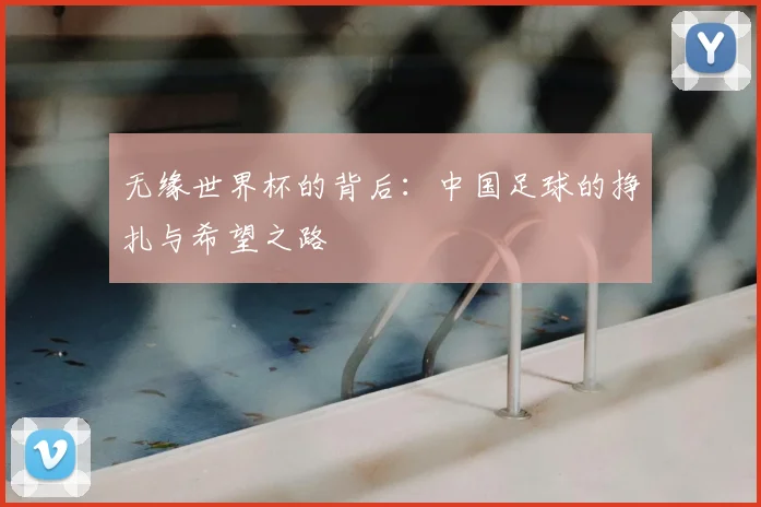无缘世界杯的背后：中国足球的挣扎与希望之路
