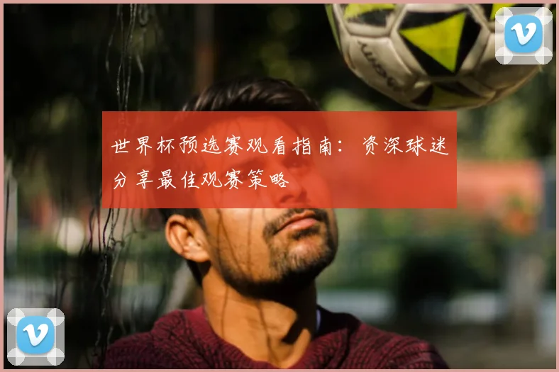 世界杯预选赛观看指南：资深球迷分享最佳观赛策略