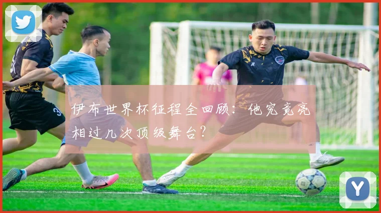 伊布世界杯征程全回顾:他究竟亮相过几次顶级舞台?