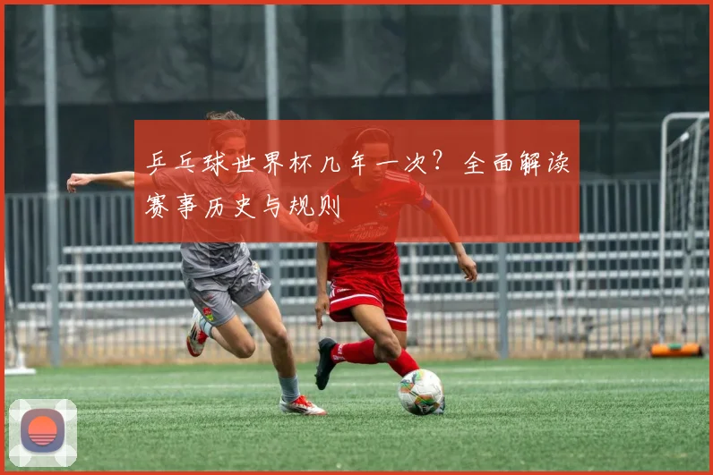 乒乓球世界杯几年一次？全面解读赛事历史与规则