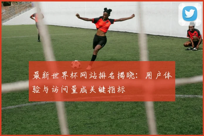最新世界杯网站排名揭晓：用户体验与访问量成关键指标