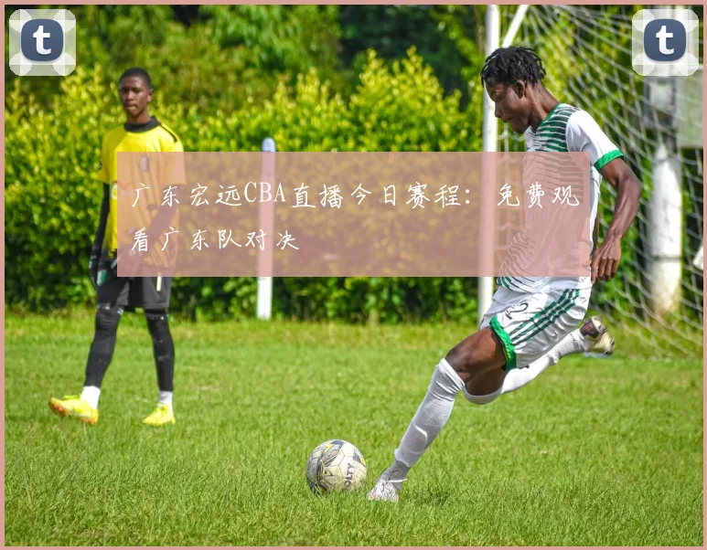 广东宏远CBA直播今日赛程：免费观看广东队对决