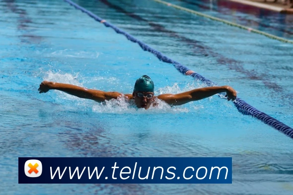 米兰官网入口服务体系